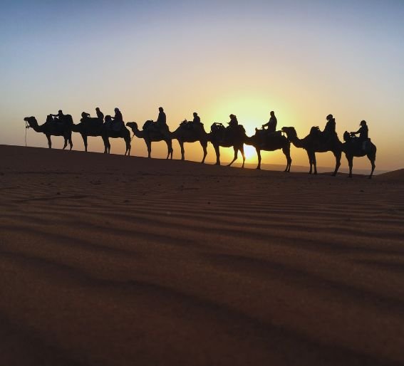 camel ride in merzouga desert