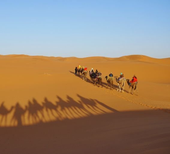 camel ride in merzouga desert